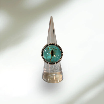 Bark Scorpion Teal Ring Round